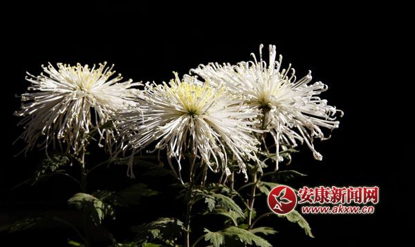 10京`ŵľջ鿶bȻһʒɪͼȡζɢl(f).jpg